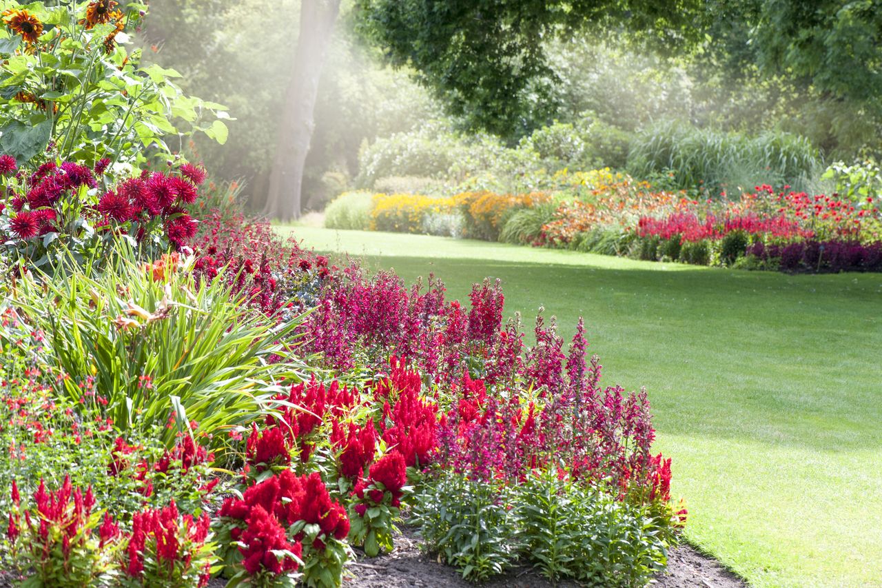 Red garden