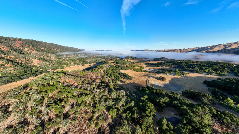 Mist hugs the mountains in the Carmel Valley