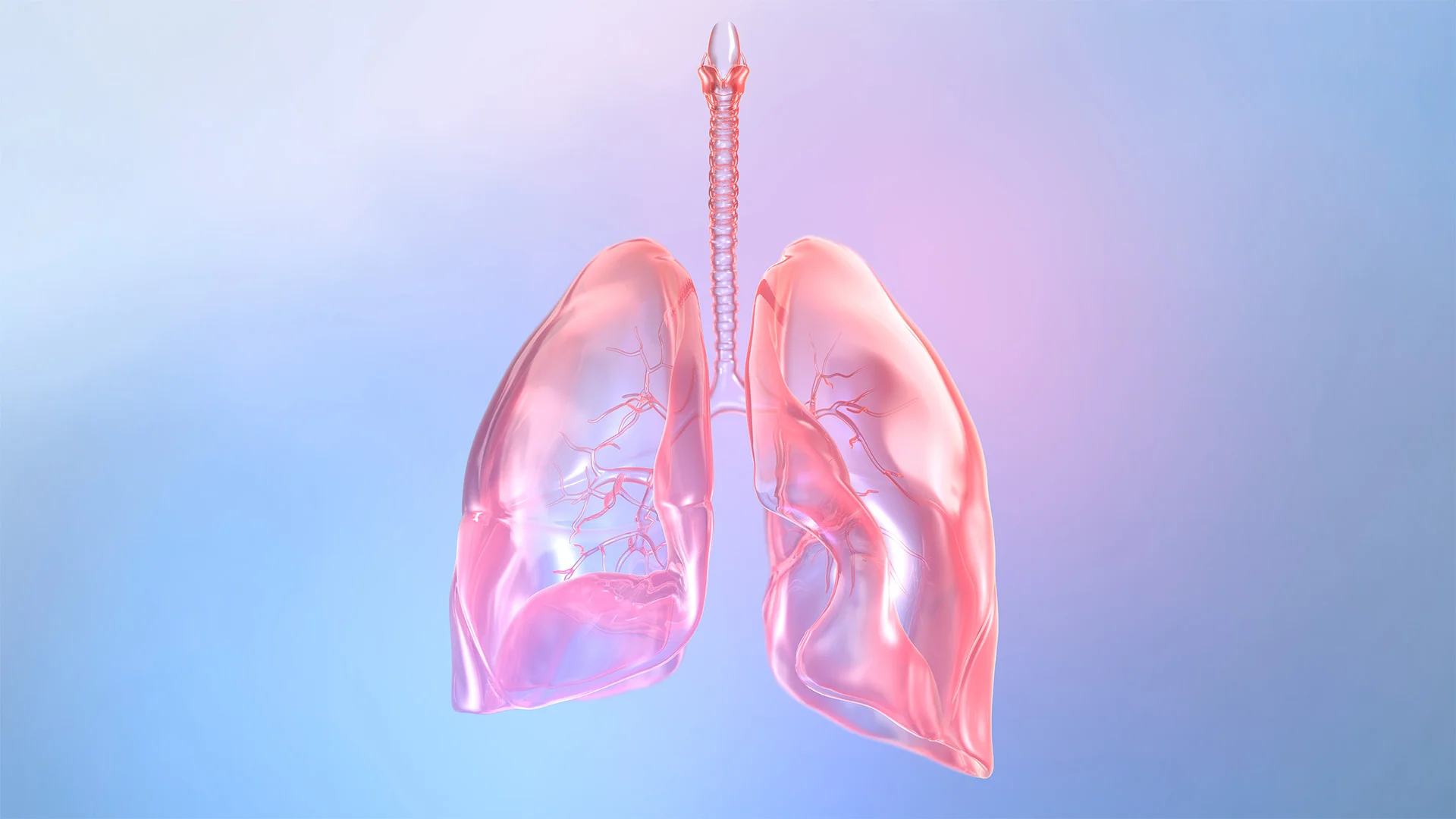 A med student built a lung-growing machine from a fish tank—and it actually worked