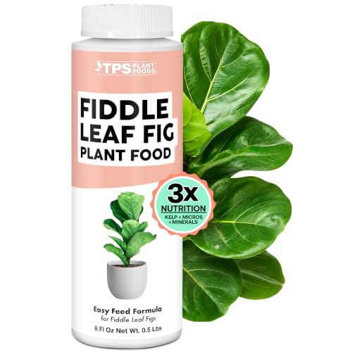 Fiddle Leaf Fig Plant Food – Liquid Fertilizer for Bigger Leaves, Stronger Roots & Healthy New Growth, 8oz