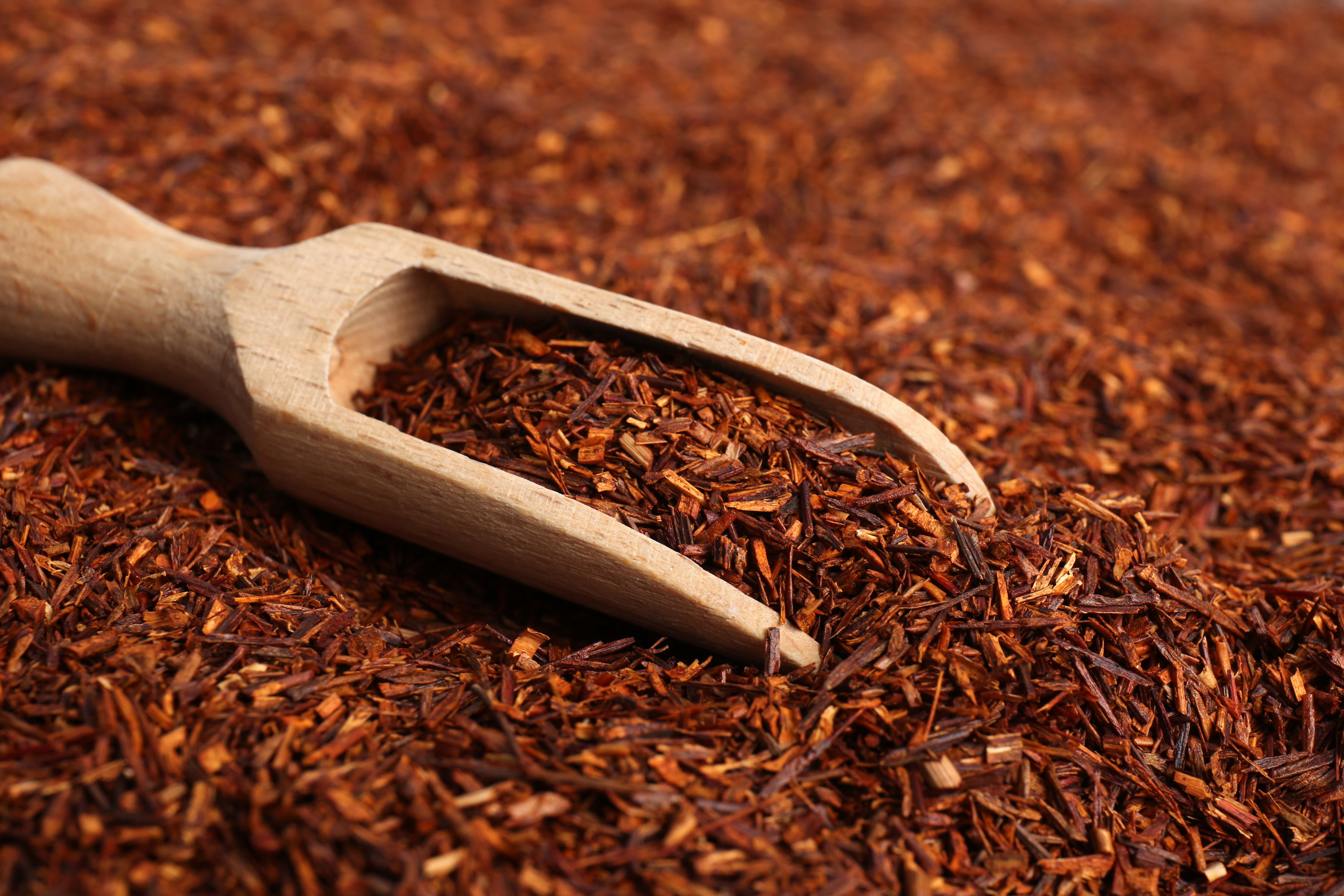 A wooden scoop resting on a pile of loose rooibos tea leaves