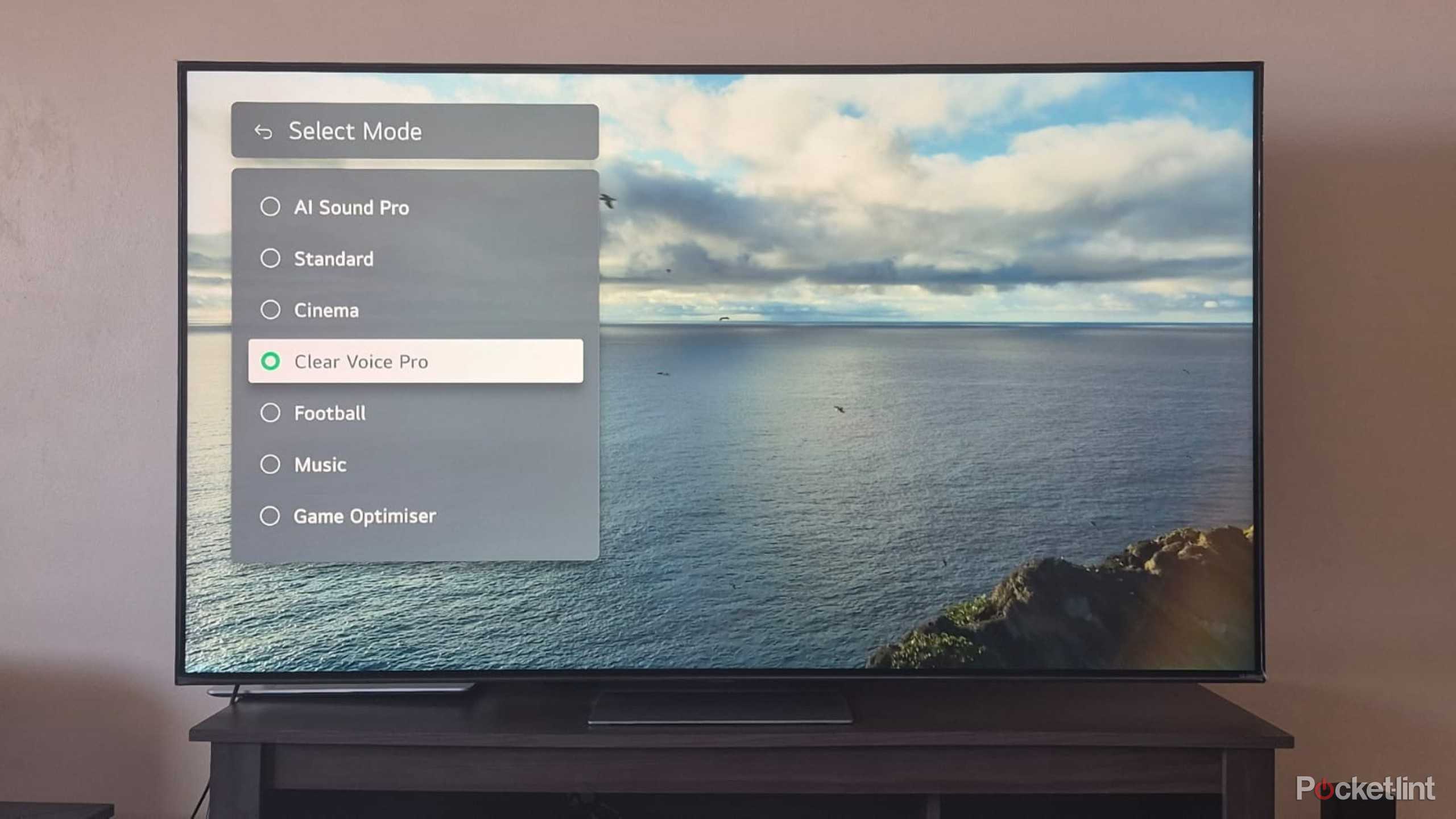 LG TV DTV Audio Setting