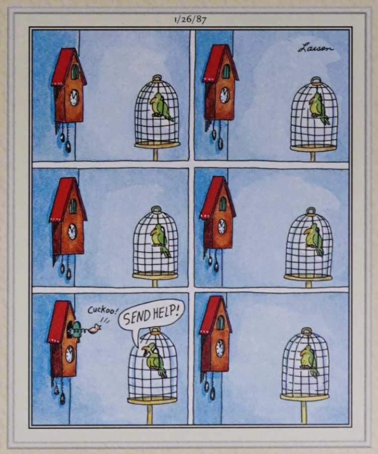 A bird asks a clock for help
