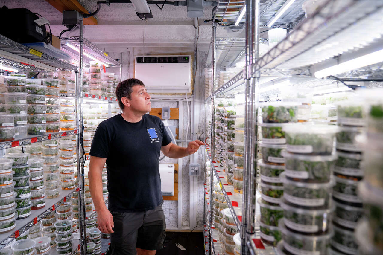 Photos: see inside Austin's carnivorous plant nursery, Carnivero