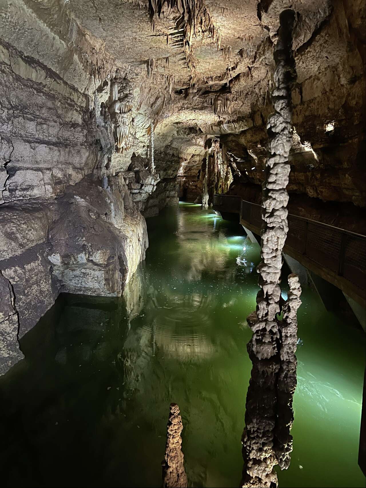 Rare aquifer tours return to Natural Bridge Caverns after massive flooding