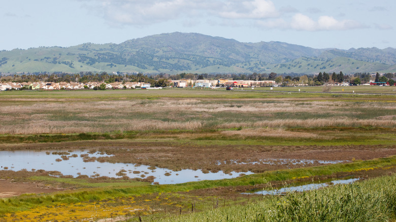 Between Sacramento and San Francisco is an underrated county for family-friendly outings and outdoor fun