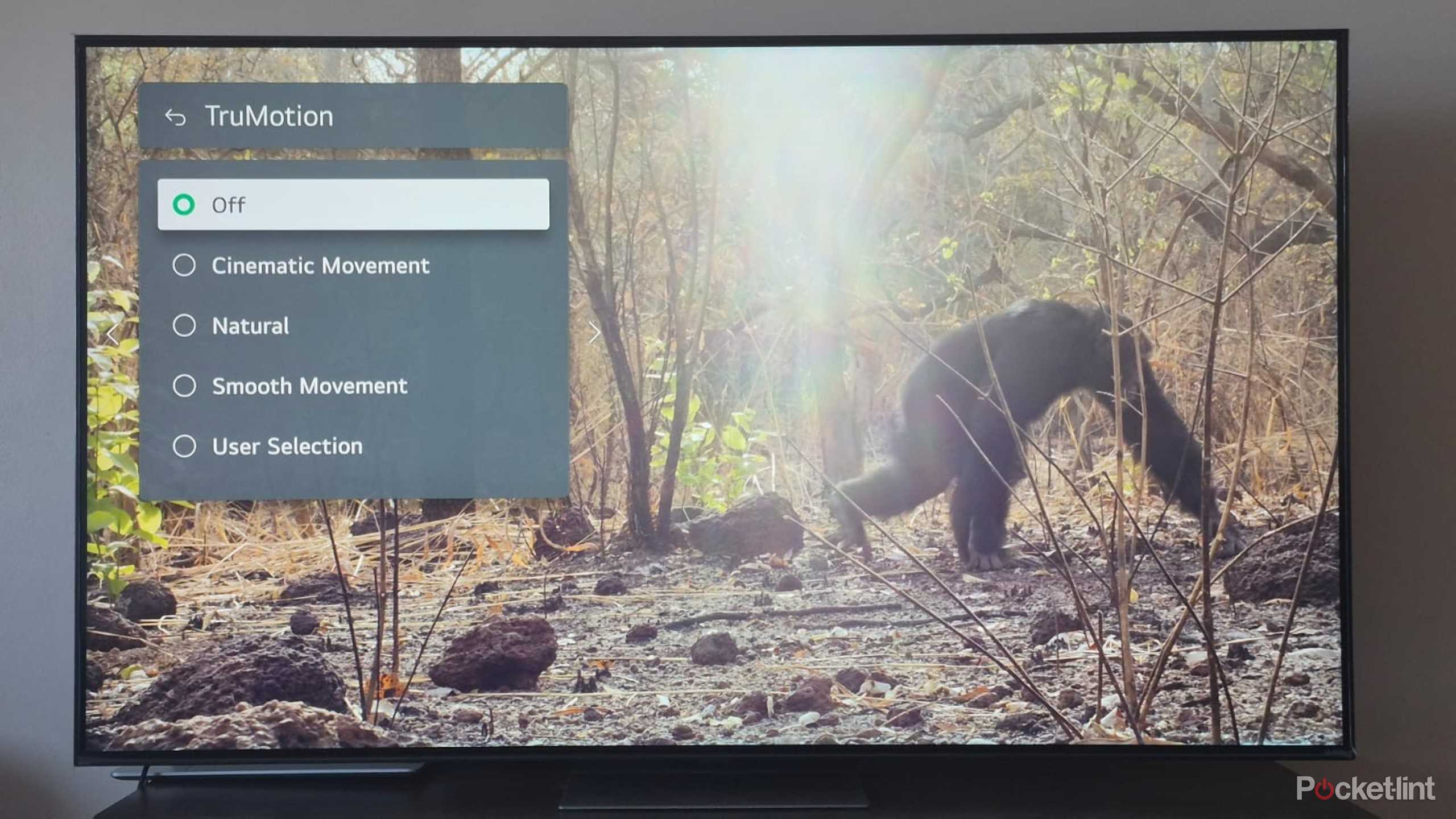 LG TV Motion Smoothing feature