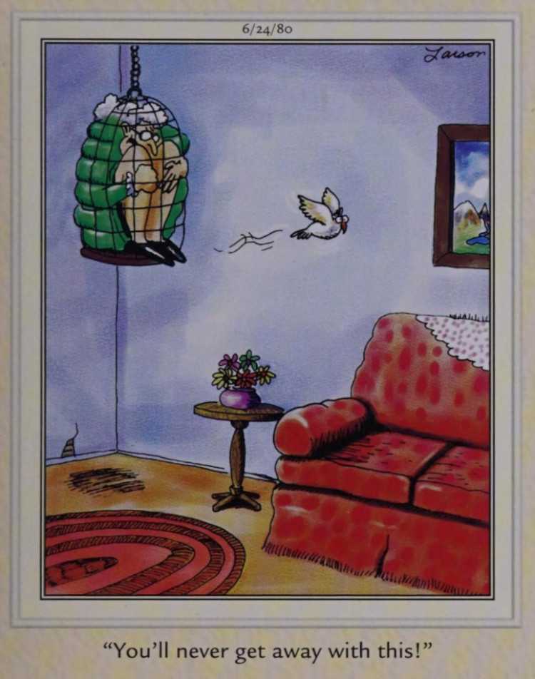 A parrot traps a woman in a bird cage