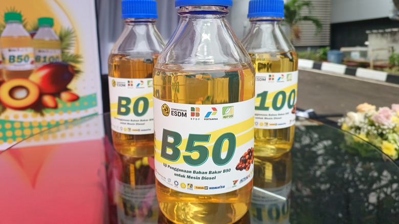 Can biodiesel be used in generators?
