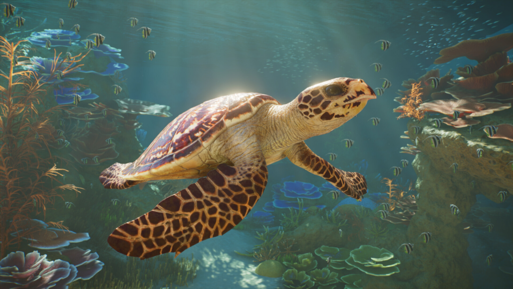Screenshot of a turtle in Planet Zoo 2