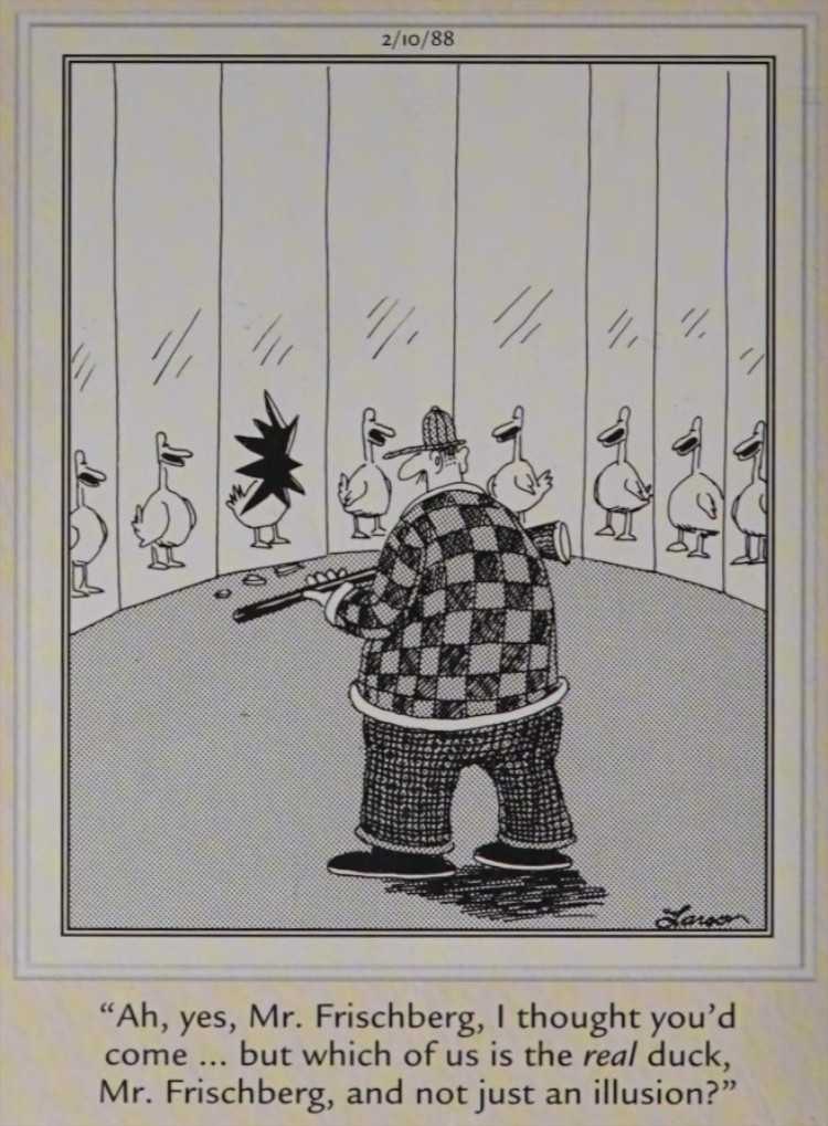 A duck and hunter in a fun house