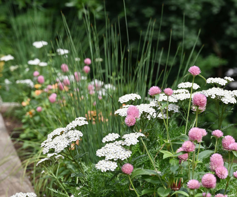 5 small garden mistakes making your outdoor space feel cramped – and ...