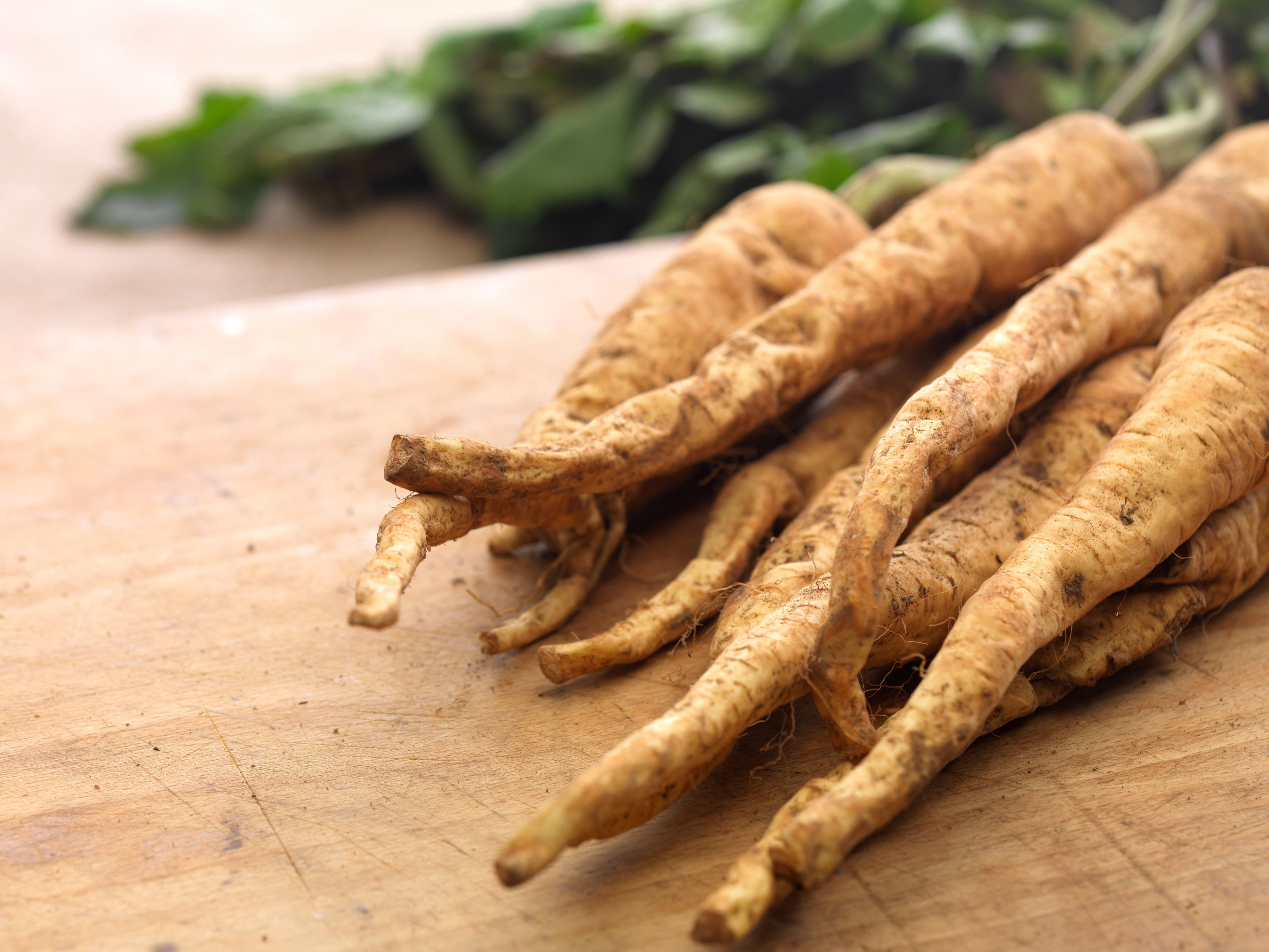 Bunch of fresh, earthy parsnips with leafy greens resting on a wooden surface