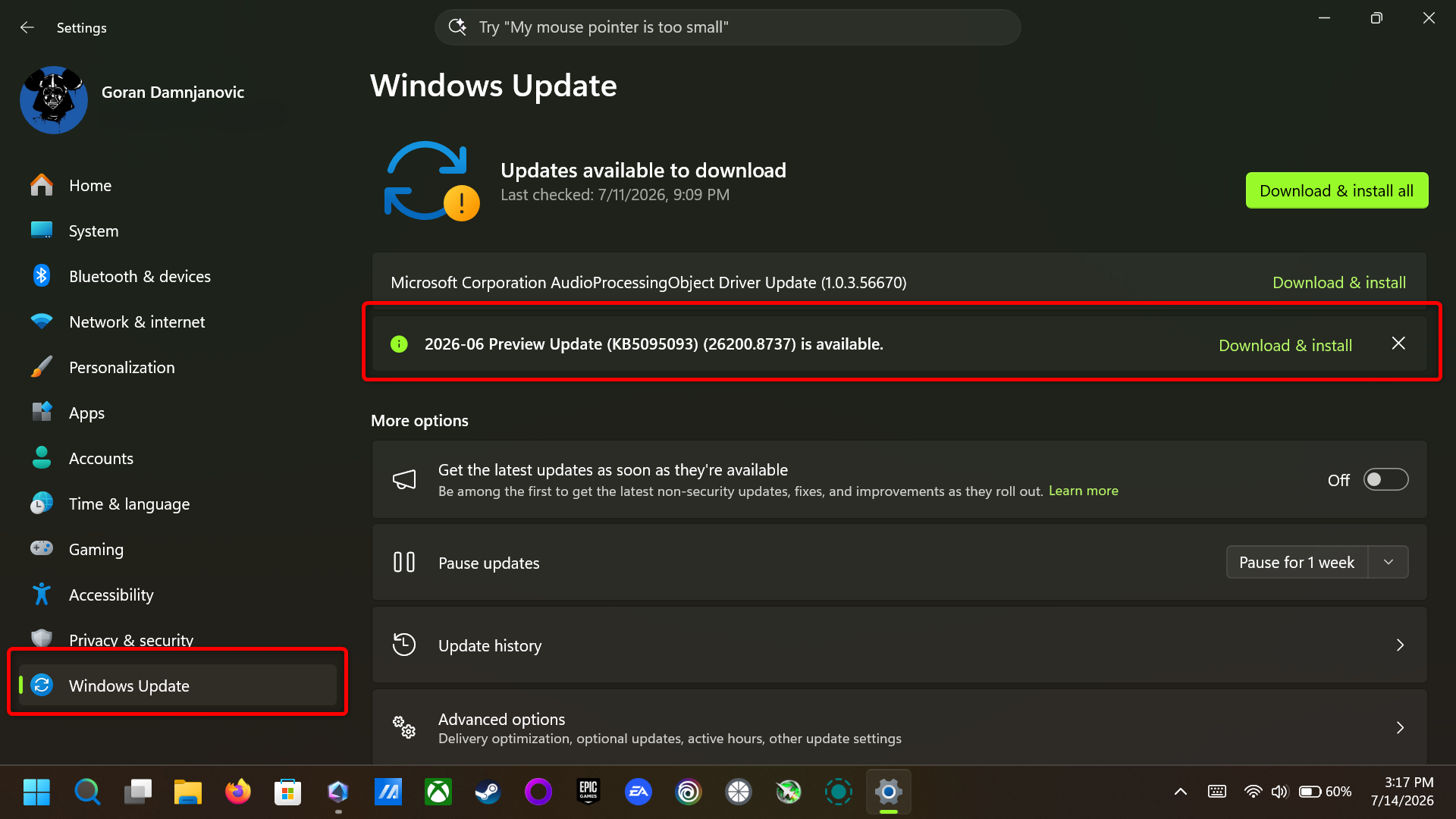The Windows Update menu in Windows Settings.