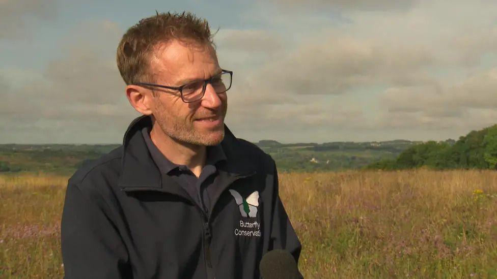 Dr Dan Hoare is encouraging the public to report the butterflies they see