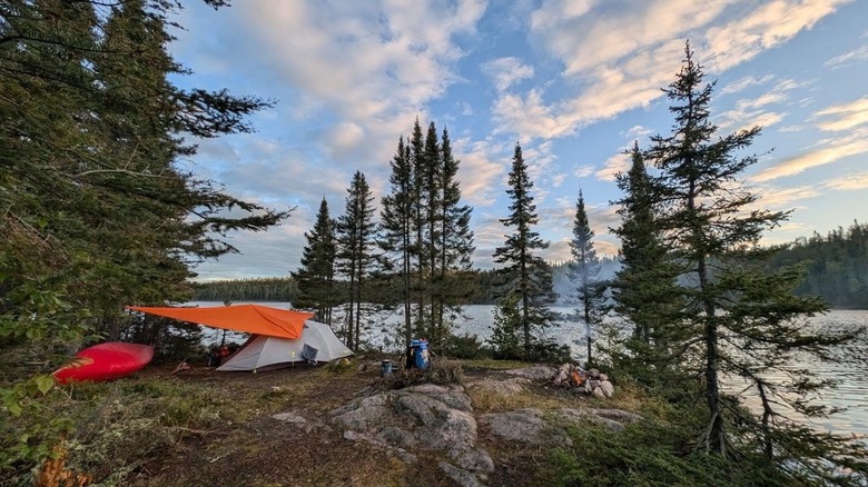 Campsite surrounded by evergreen trees overlooking a lake in Steel River Provincial Park.