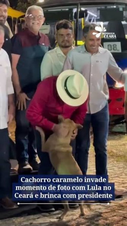 Lula