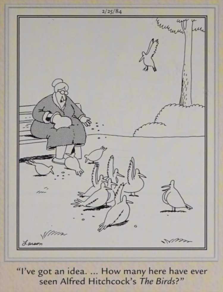 A woman feeding birds at a park