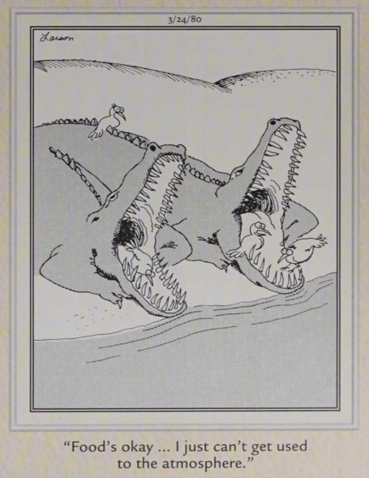 Birds in crocodile mouths