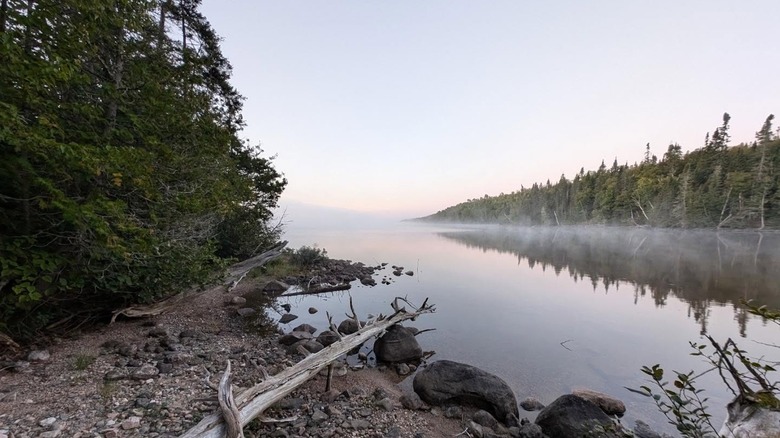 Mist over a lake surrounded by forest in Steel River Provincial Park.