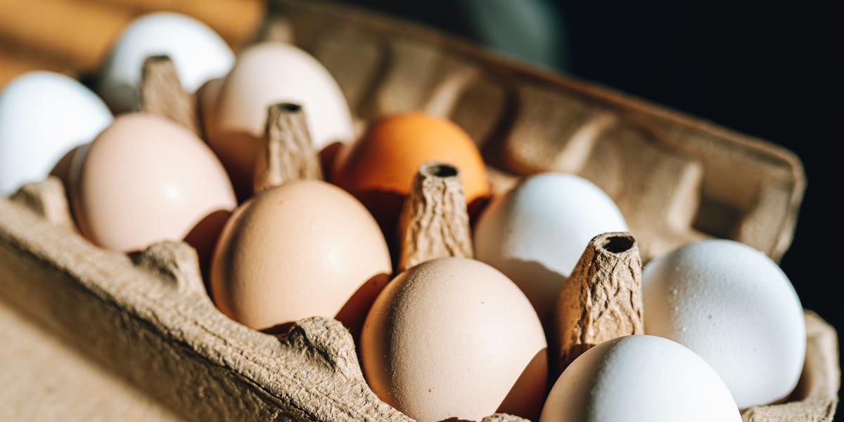 Why You Should Never Take Eggs Out of the Carton