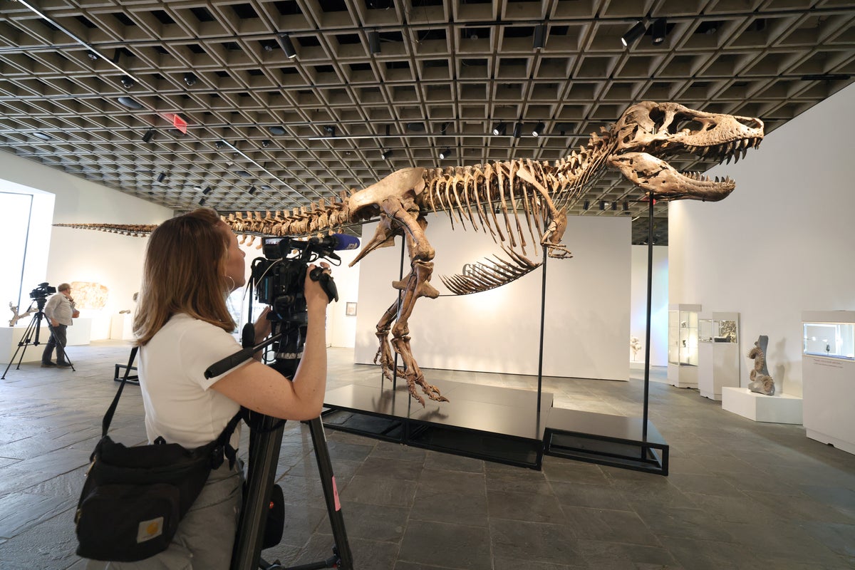 US-AUCTION-SOTHEBYS-DINOSAUR-FOSSIL