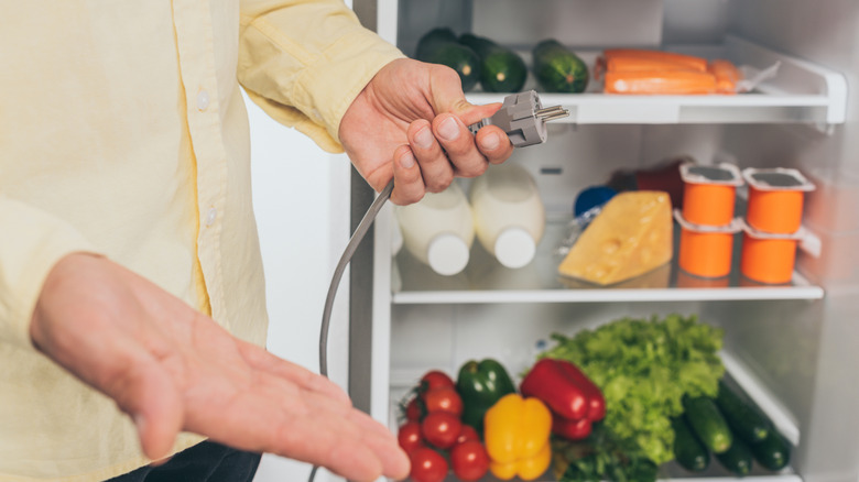 11 money-saving tips to cut electricity costs with your refrigerator