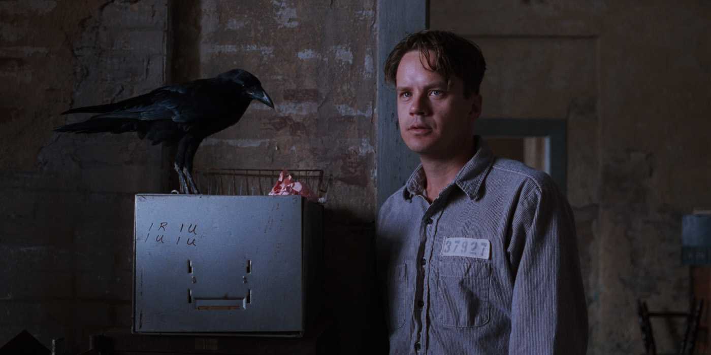 Andy by a crow in Shawshank Redemption