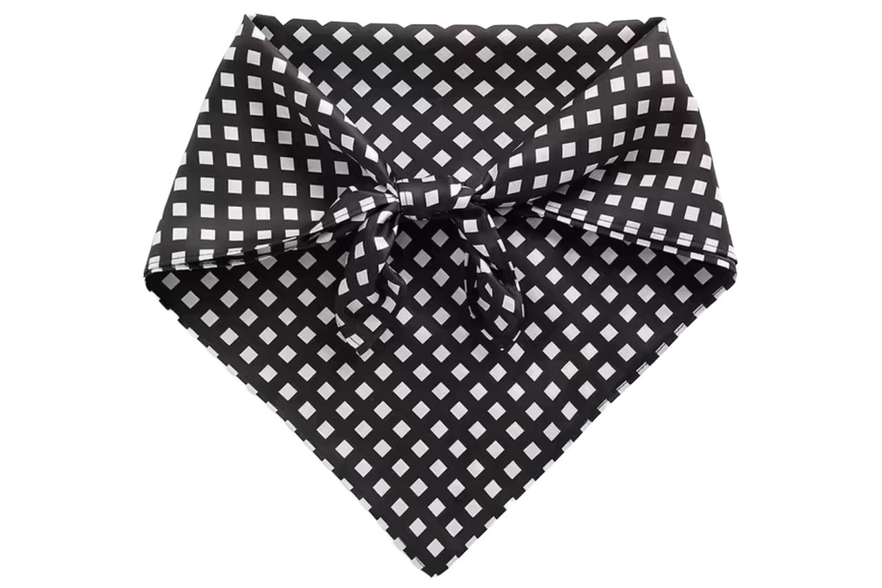 100% Silk Bandana
