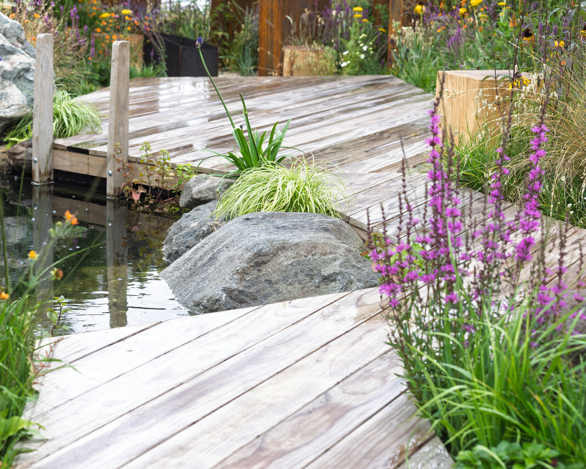 wooden zigzag path with water feature and natural planting