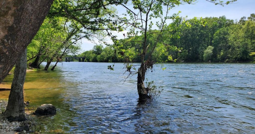 Views of the Ouachita River in Arkansas, surrounded by lush greenery and calm waters.