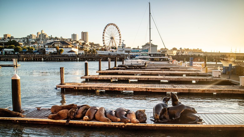 The 'World's Worst Tourist Trap' Is A Wildly Popular California Destination Full Of Shops And Attractions