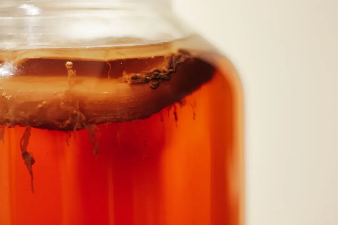 Kombucha and other fermented beverages (Image Credits: Unsplash)