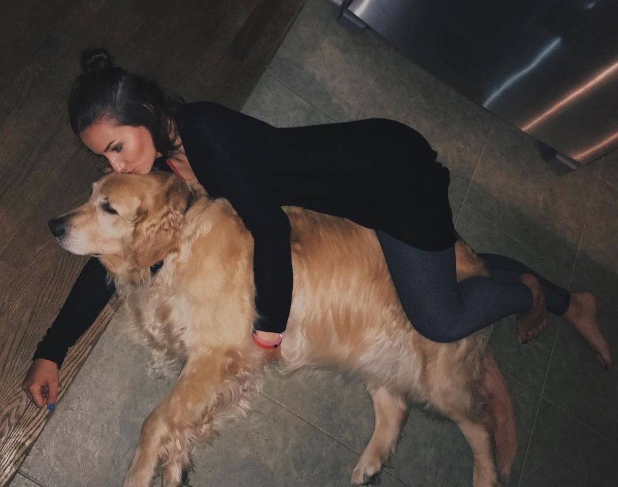 Woman Loses Dog to Cancer. Then X Years Later She Is Brought to ‘Tears’ After ‘Emotional’ Discovery on Google Maps