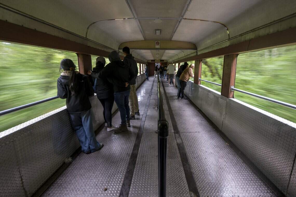 Passengers stand in an open-air train car as they ride along a forested portion of the Mt. Rainier Scenic Railroad on Thursday, July 16, 2026. The train departs from Elbe.