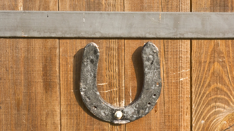 What Hanging A Horseshoe On Your Front Door Is Really Saying