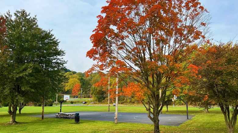 basketball court and picnic table in Pennsylvania park during fall
