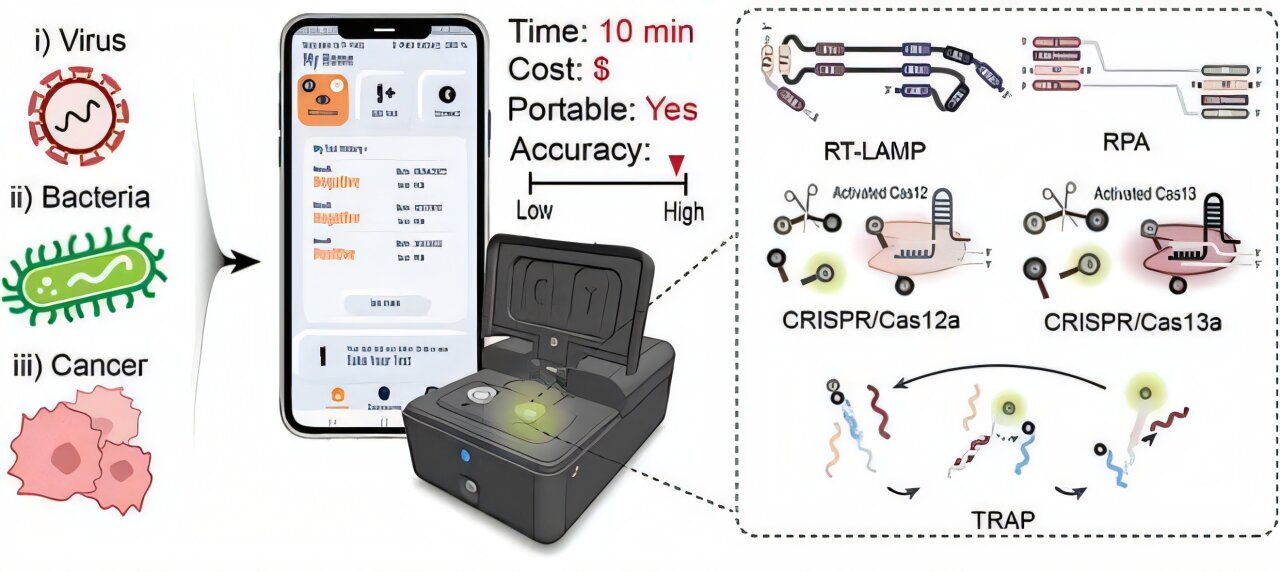 AirPods-sized fluorescence analytical device holds promise for timely home molecular testing
