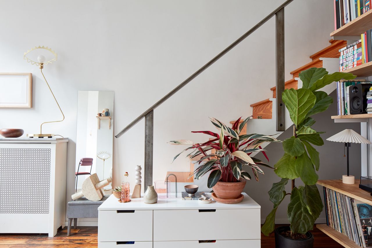 Entryway with lots of plants and modern decor