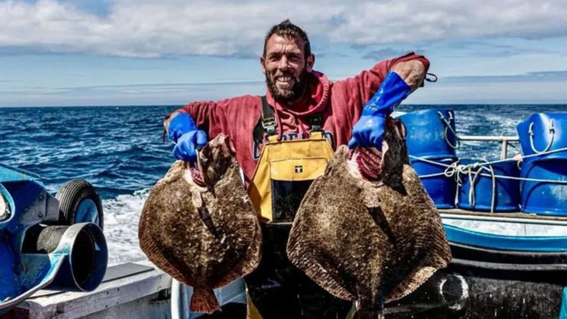 Warming seas are bringing octopus, red mullet and bream into UK waters ...