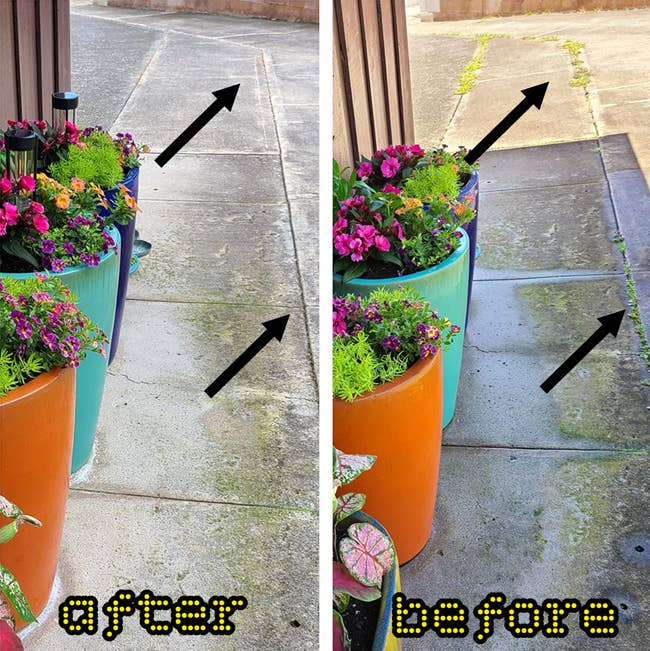 Two images side by side showing an outdoor path with colorful planter pots filled with vibrant flowers and foliage, lining a walkway