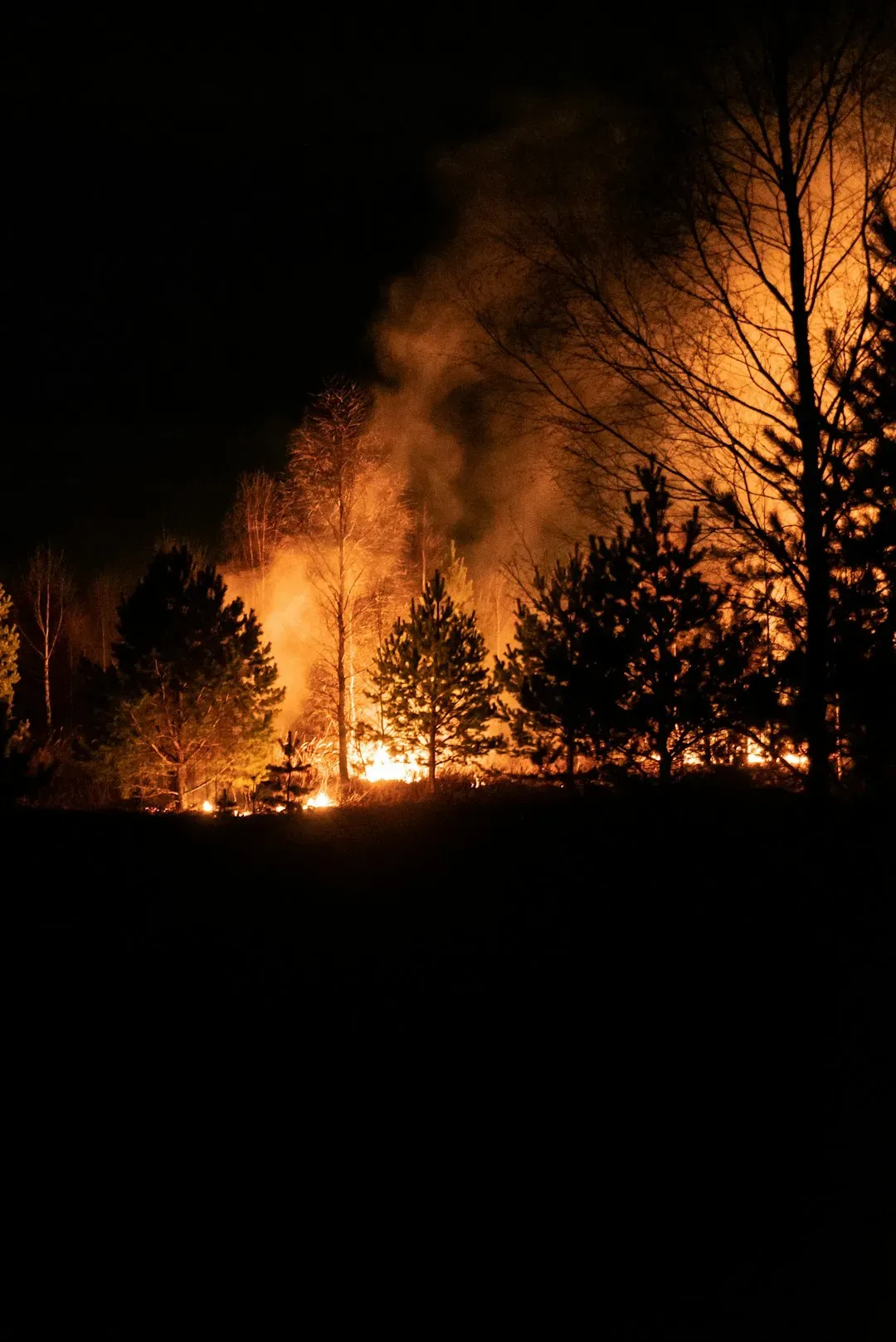 Wyoming's High-Risk Counties