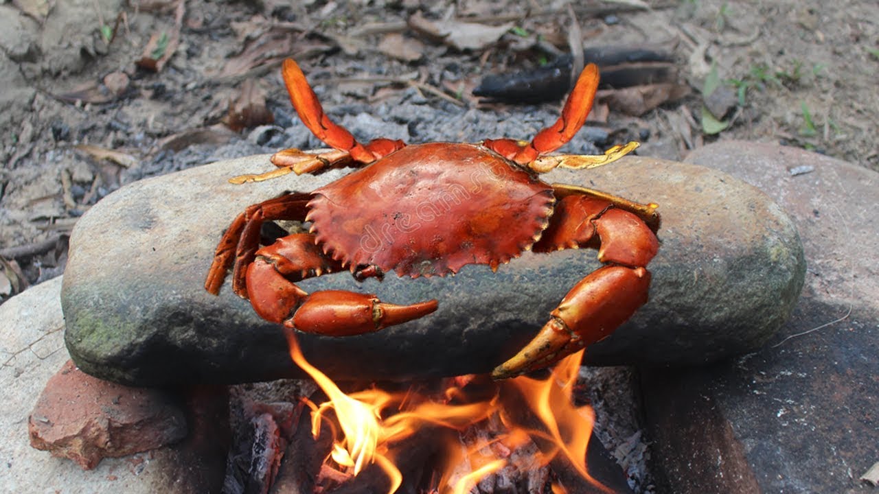 Cooking crab on a rock