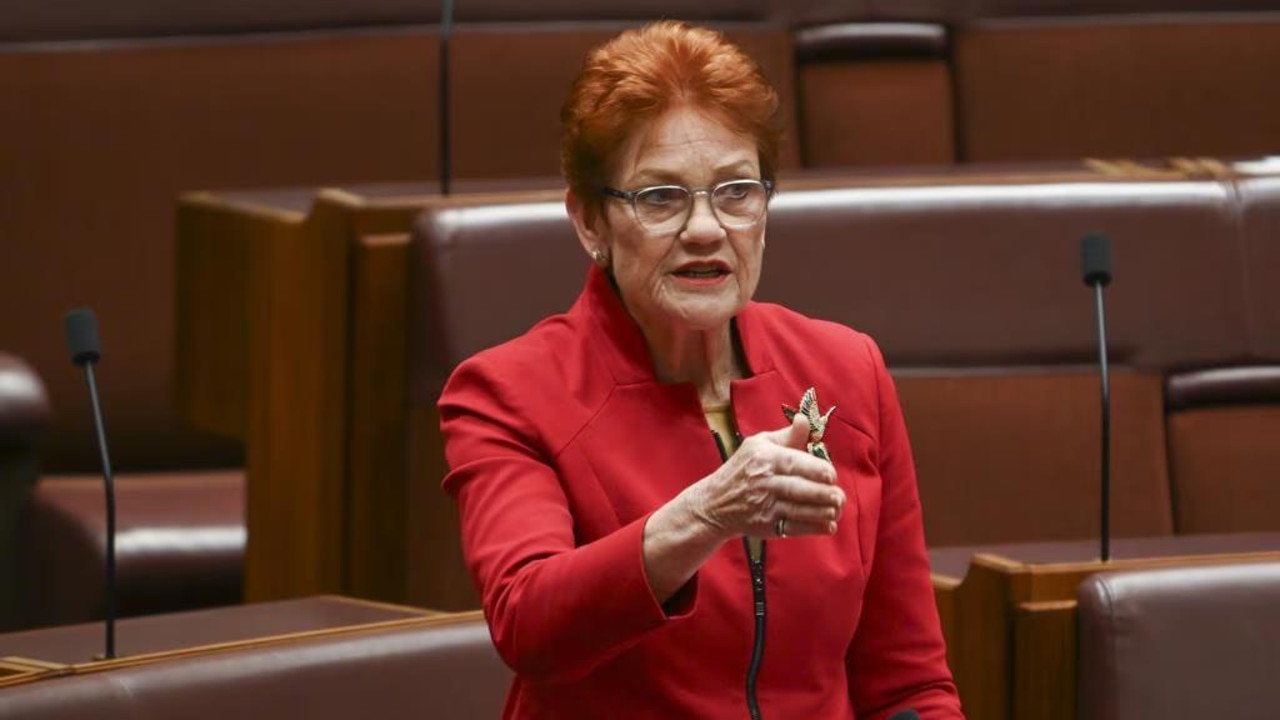 Hanson outlines 'mass deportation' plans