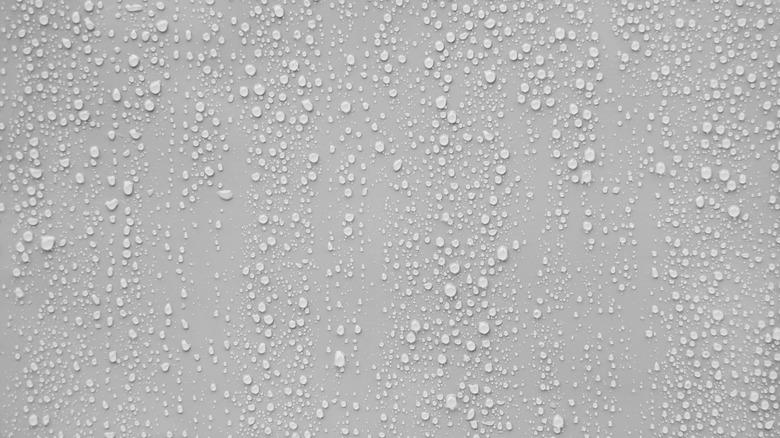 Condensation on a flat surface
