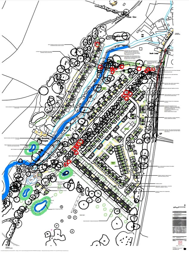 But the project (pictured, in planning documents) has alarmed residents, who fear it will wreck biodiversity, interrupt their views and create no affordable housing for locals