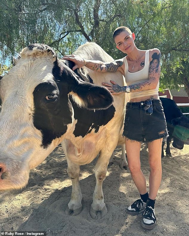 These days, the Melbourne-born actress has traded Hollywood premieres for a far quieter life back home in Australia after her once-soaring career came to a dramatic halt