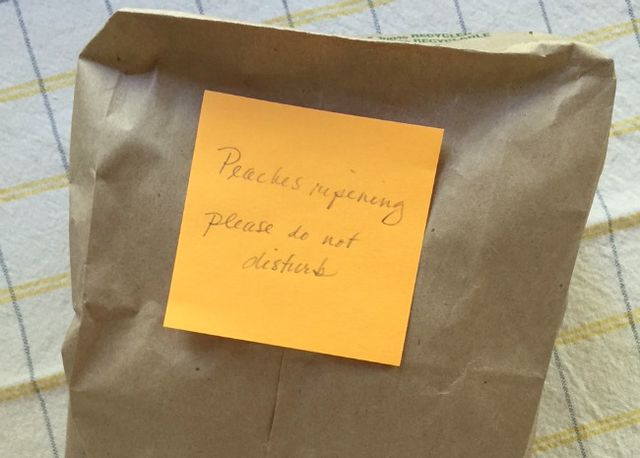 Peaches in closed bag