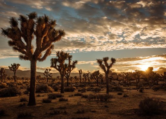 29 Exotic Places in the US — How Many Have You Actually Visited? 31