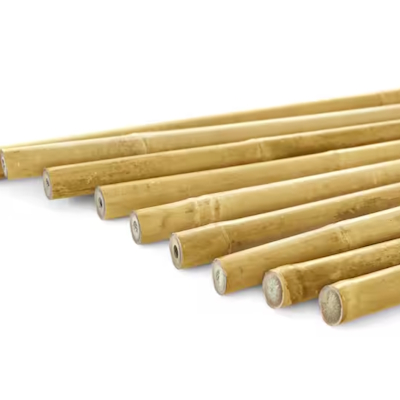 8 ft. x 3/4 in. Natural Bamboo Garden Plant Stakes for Climbing Support